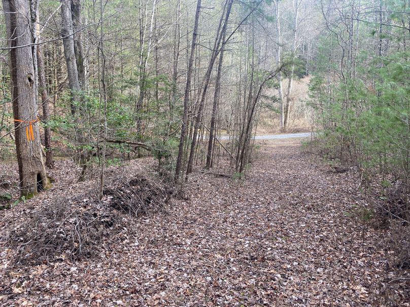 Cherokee 7.47 Herzog-05