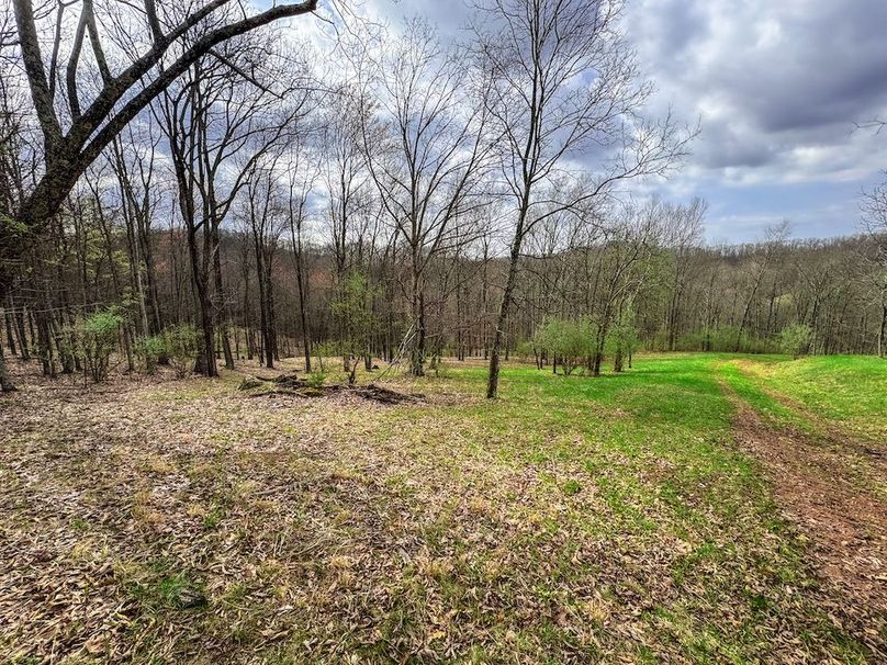 Ritchie, WV 206.08 AC Curriden-55