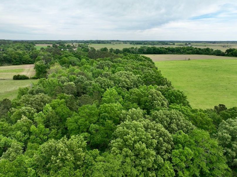 dji_fly_20260406_132018_484_1775496394809_photo