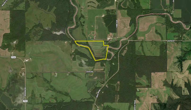 Screenshot 2024-08-25 at 8.33.18 PM