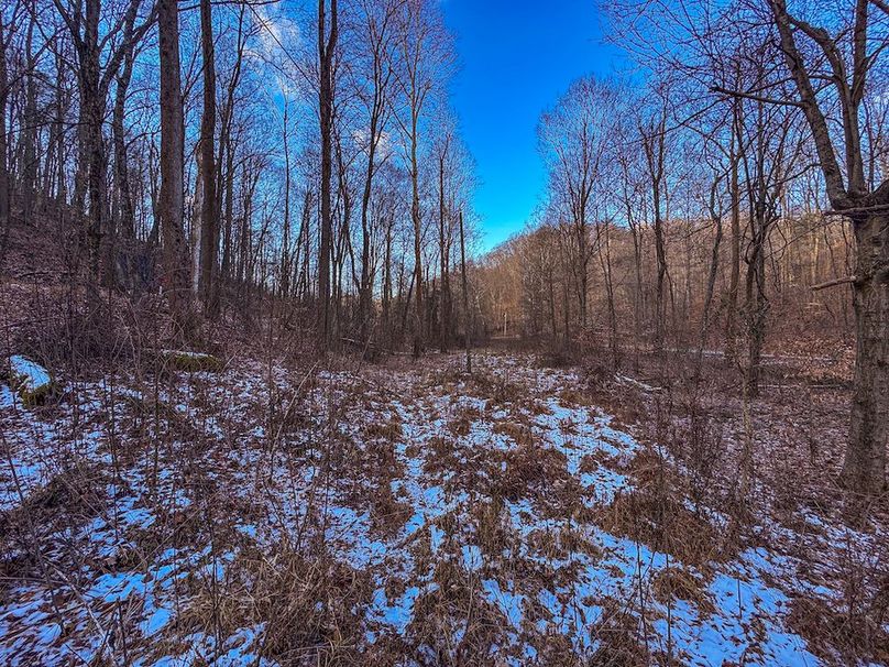 Pleasants, WV 81 AC Barron-09