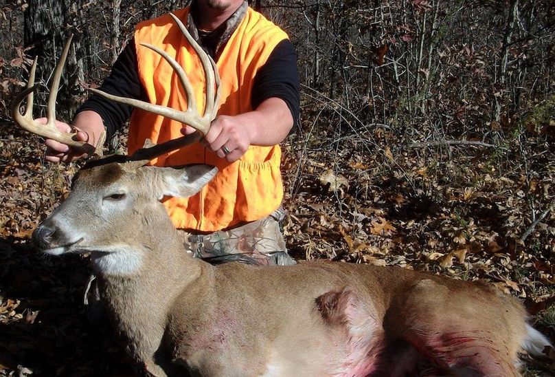 46142725_198931384340561_1971422480291594240_n