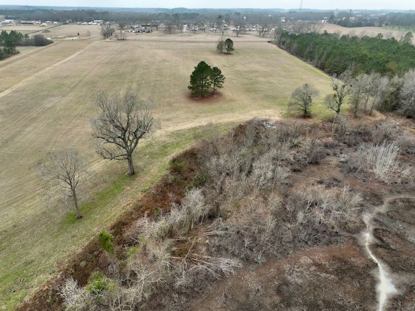 dji_fly_20260210_103944_241_1770738293928_photo