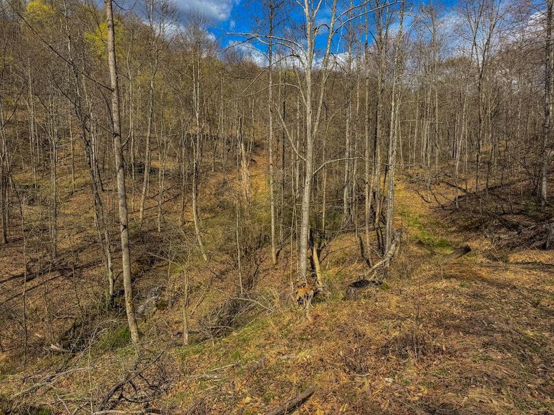 Wirt, WV 156.941 AC Full-33