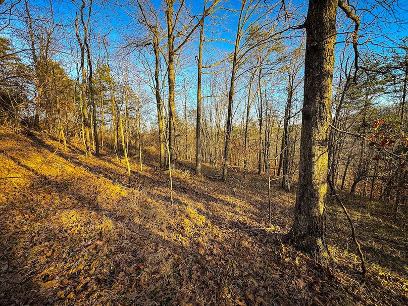 Jackson, WV 118.94 AC Shafer-078