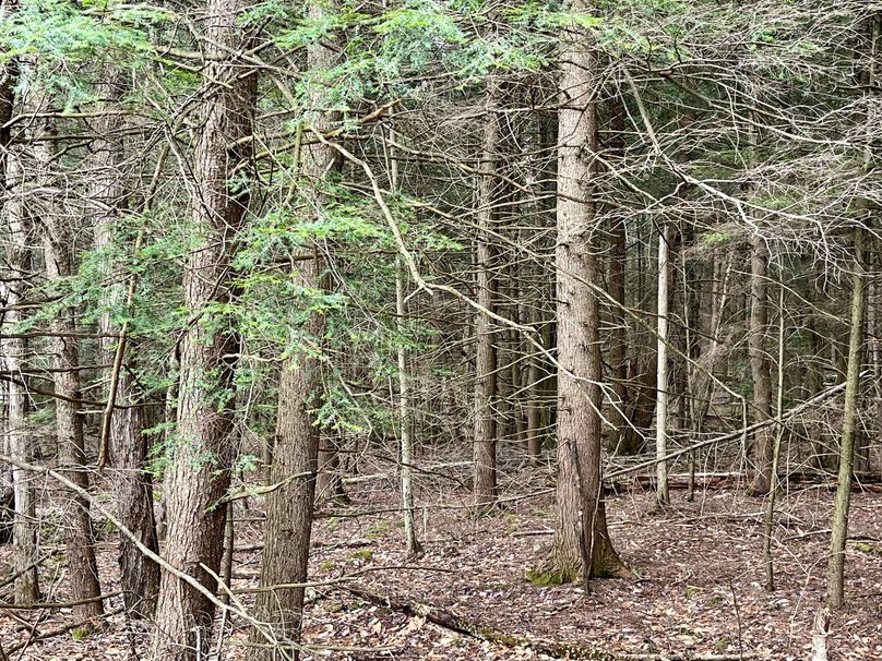 photo9