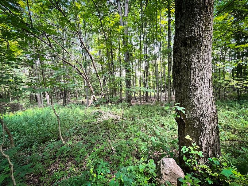 Oswego_21.25-Paro_Photos_16