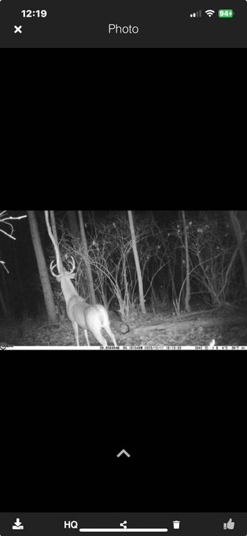 Screenshot_2023-12-23_at_12.19.13â¯PM