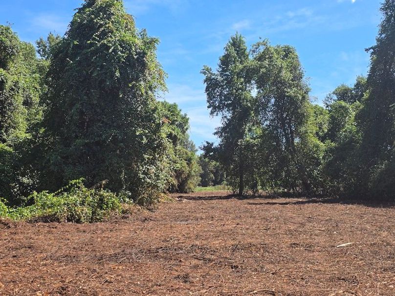 21ac, Sumter, Reelvest28