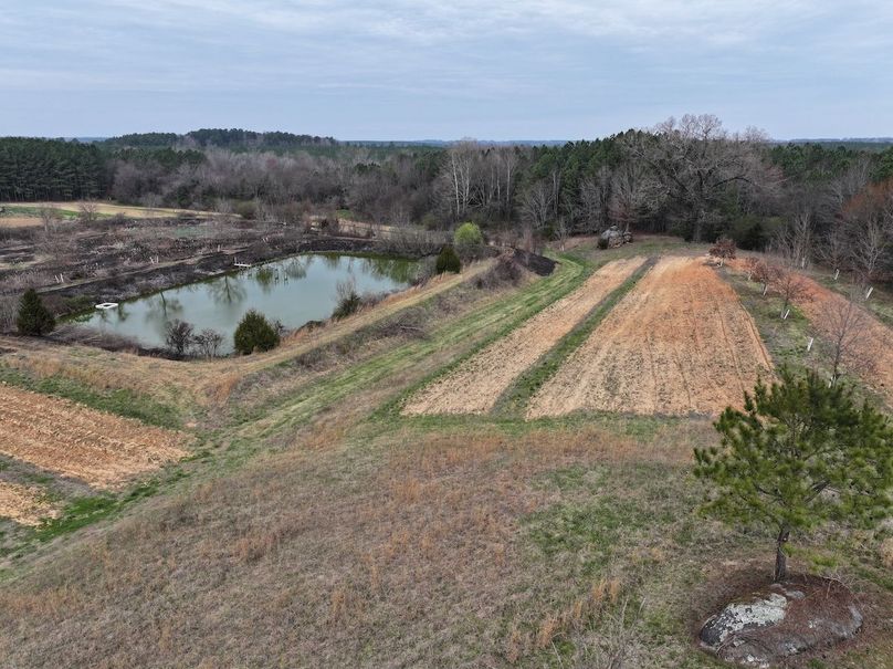 DJI_20240316122302_0030_D