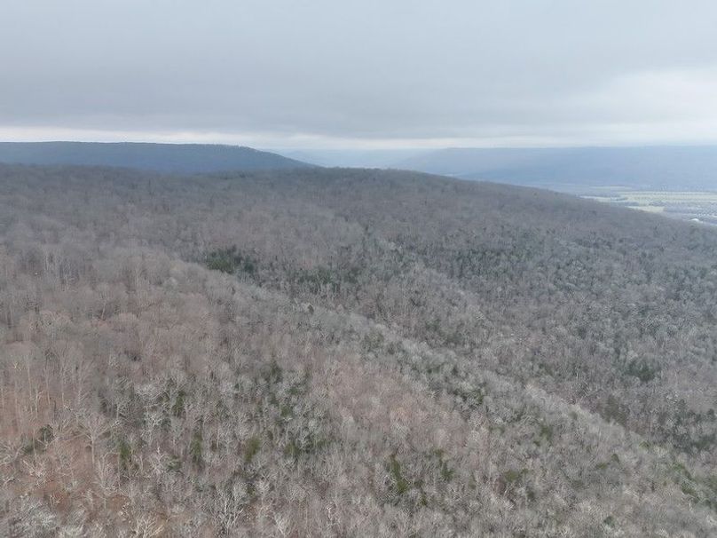 DJI_20260218101753_0014_V