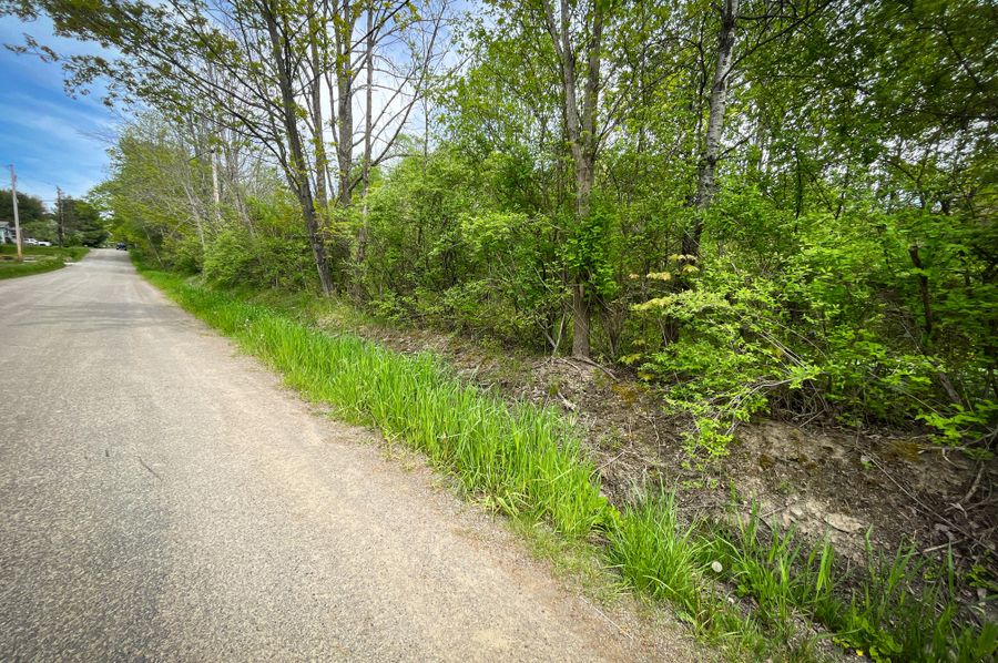 Chemung_44.5_ Briggs _Photos_63