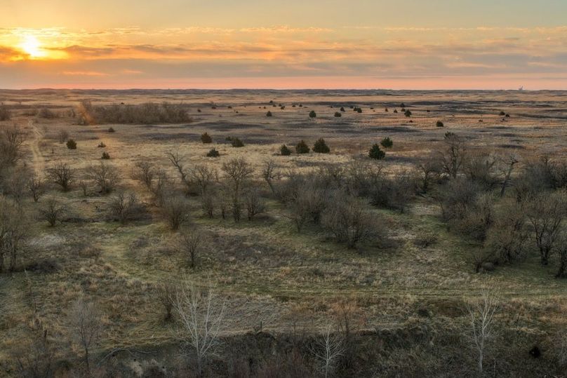 DJI_20260311081559_0519_D