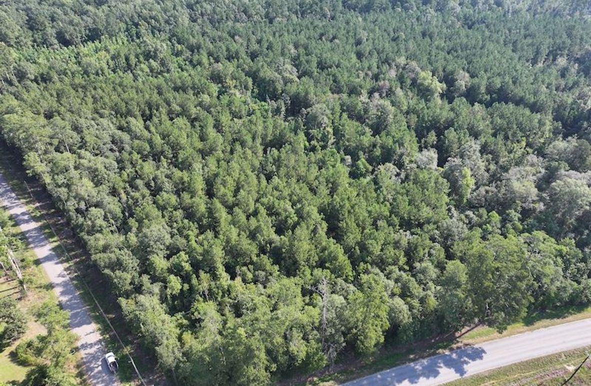 dji_fly_20250818_094740_0354_1755614661850_photo