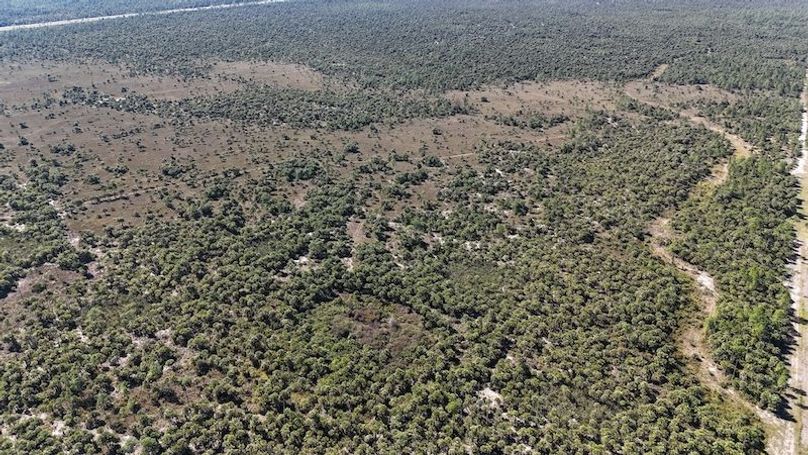 DJI_20251119124209_0979_D