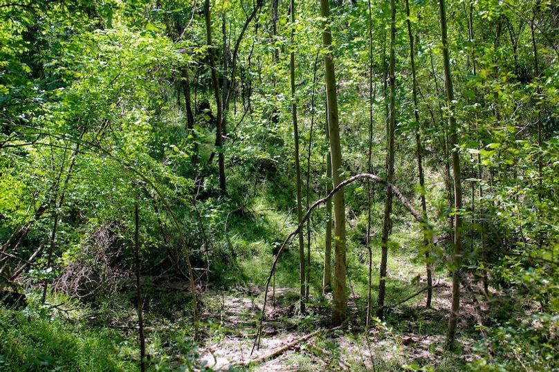 Warren Co - 34.52 - Roy-02