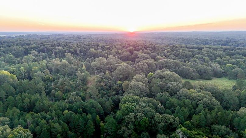 Hinds Co - 78 - Newman-28