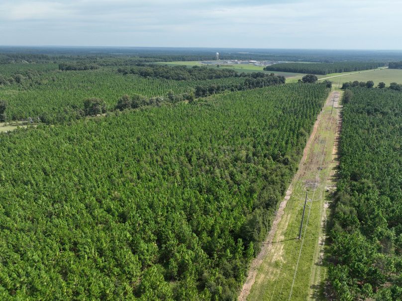 dji_fly_20230905_113832_622_1693928755395_photo