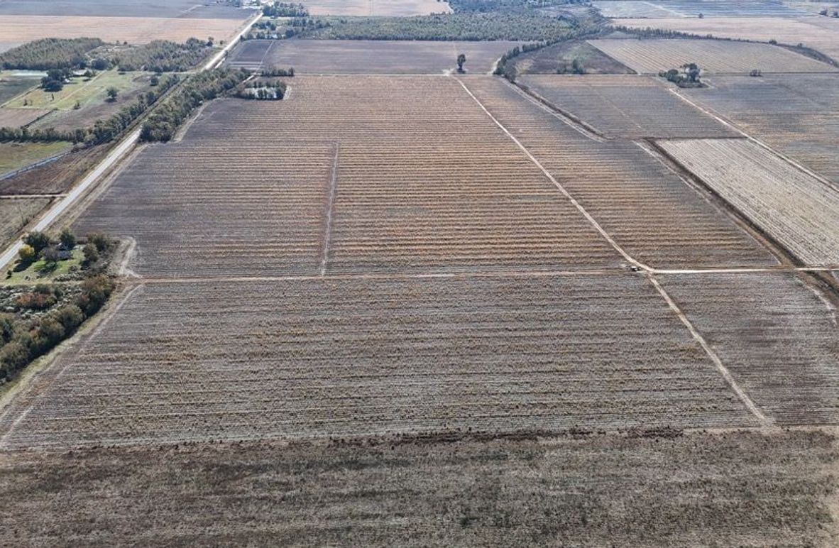 DJI_20251116020315_0893_D