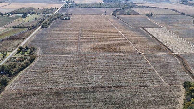 DJI_20251116020315_0893_D