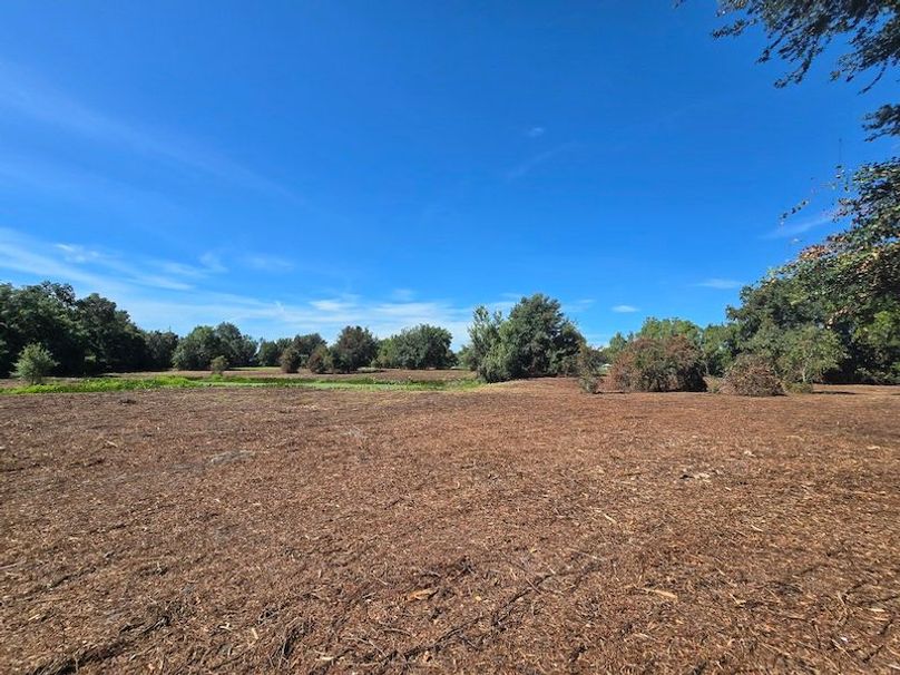 21ac, Sumter, Reelvest34