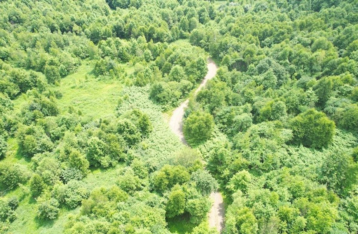 dji_fly_20240621_113606_296_1718984595570_photo