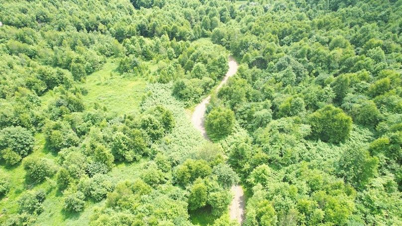 dji_fly_20240621_113606_296_1718984595570_photo