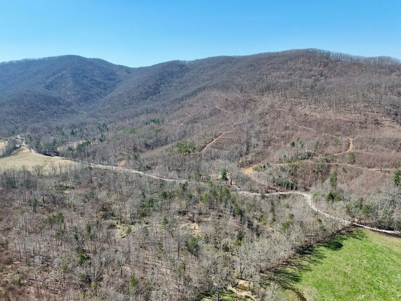 Morgan Co TN 310.833 Schneller_80