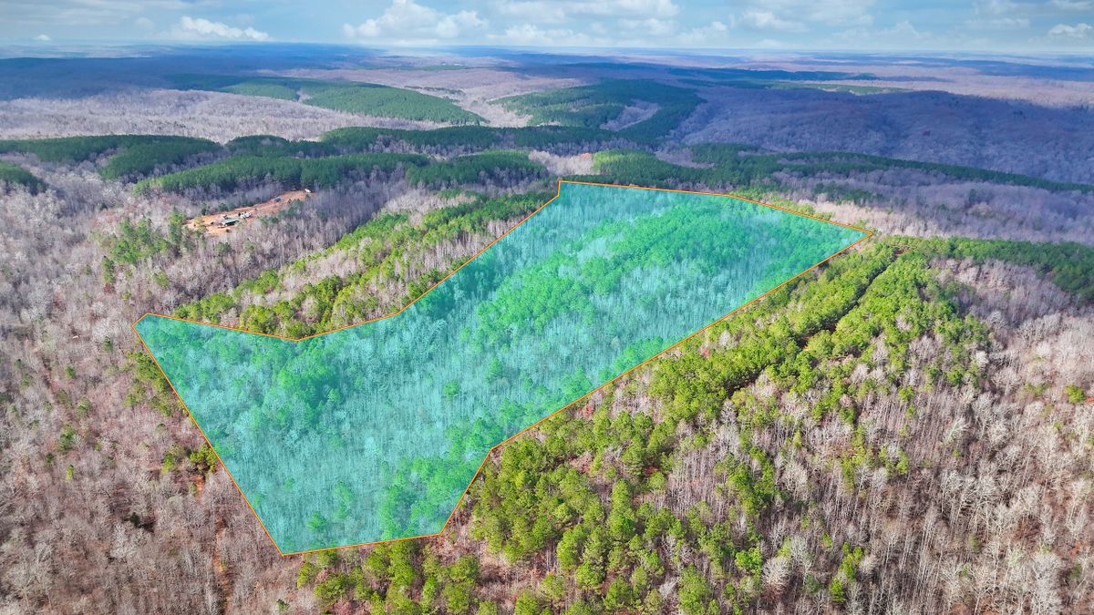 Unrestricted Acreage With Creek Whitetail Properties