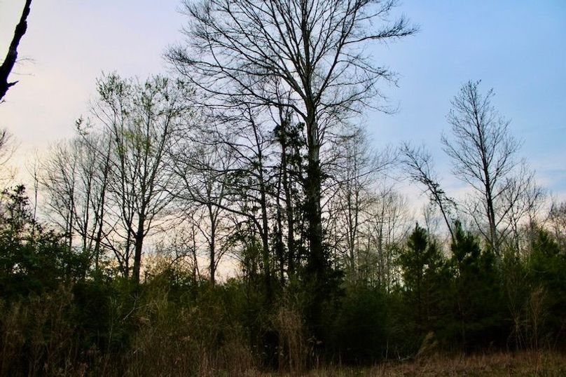 F6A7B3AC-11B3-4454-863D-DFCD8DDC326A_1_105_c