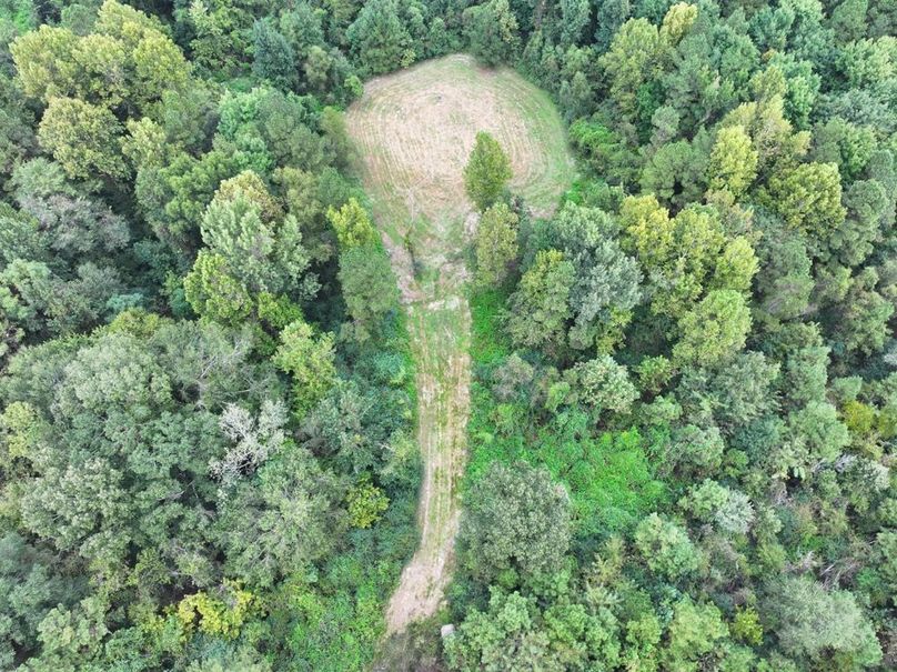 dji_fly_20250924_090712_0502_1758726298095_photo