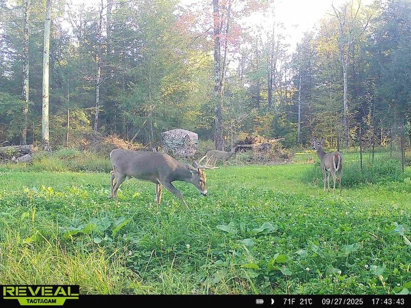 865814048724973-80-2-09272025174342-HD-W1015129