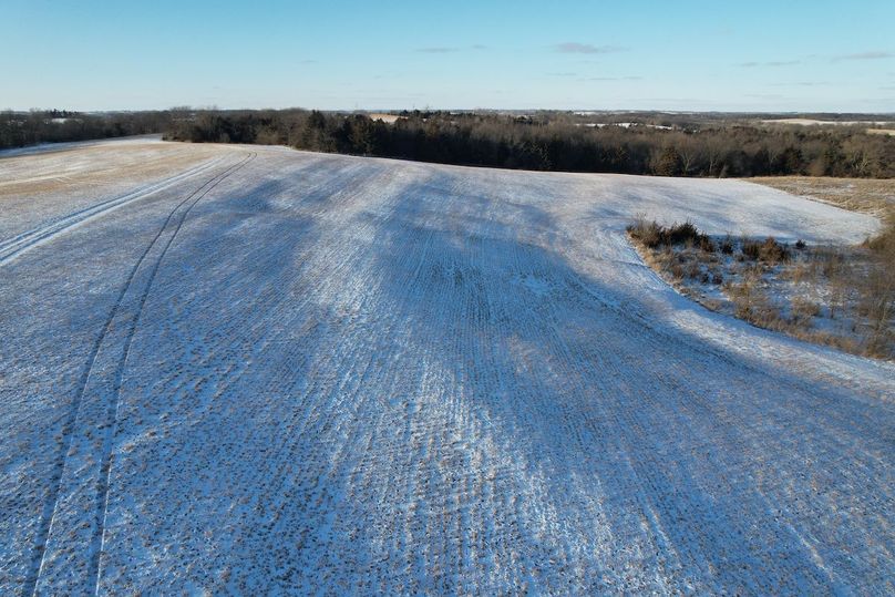 DJI_0465