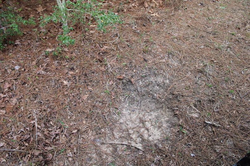 94793226-24ED-4949-89FB-13A3F5ED12D1_1_105_c