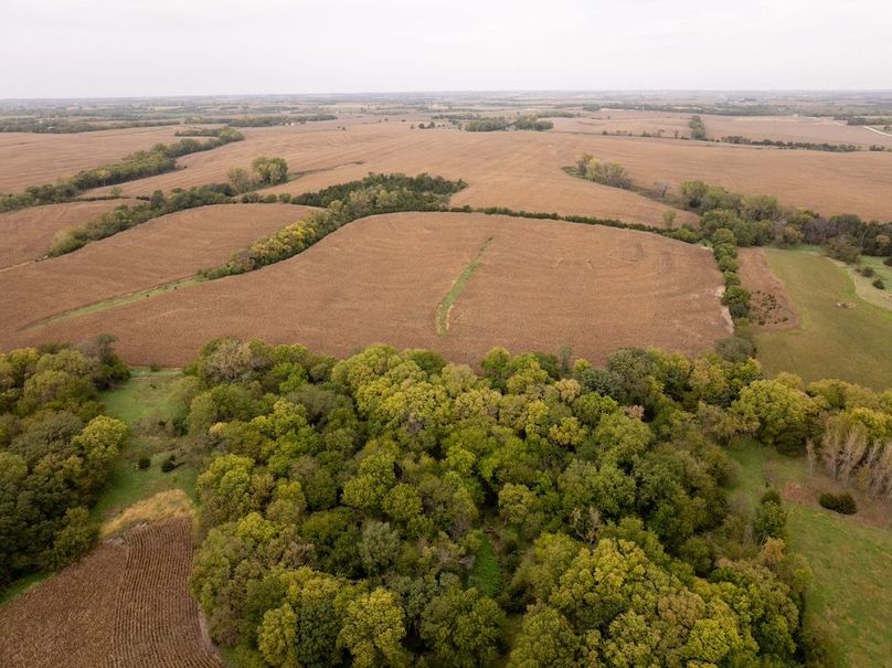 DJI_20251011101432_0118_D