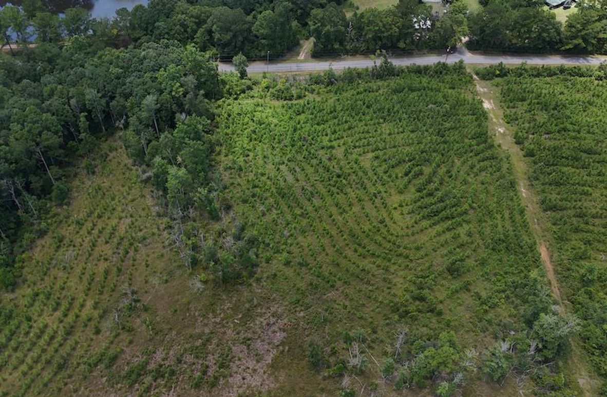 6-DJI_20240730132029_0006_D