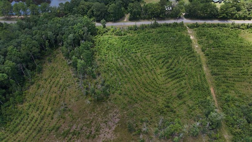 6-DJI_20240730132029_0006_D