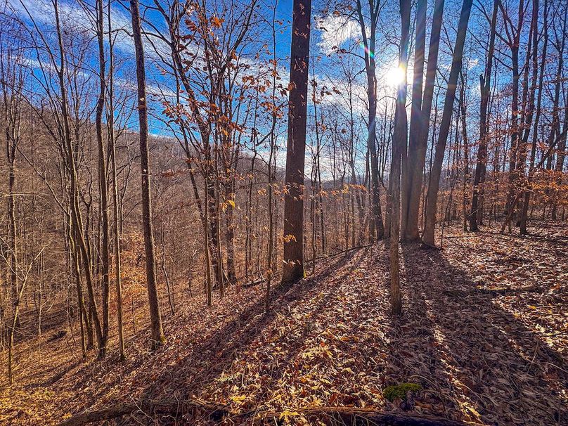 Lewis, WV 82.87 AC Barger-15