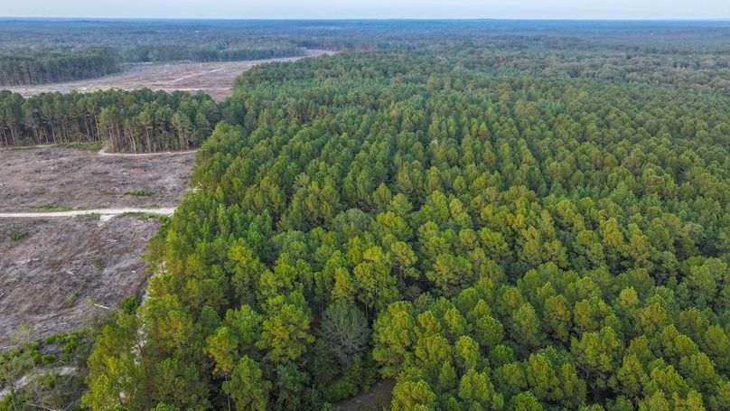 DJI_20250918184423_0263_D