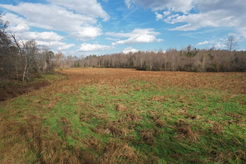 dji_fly_20251120_024318_940_1763686311081_photo