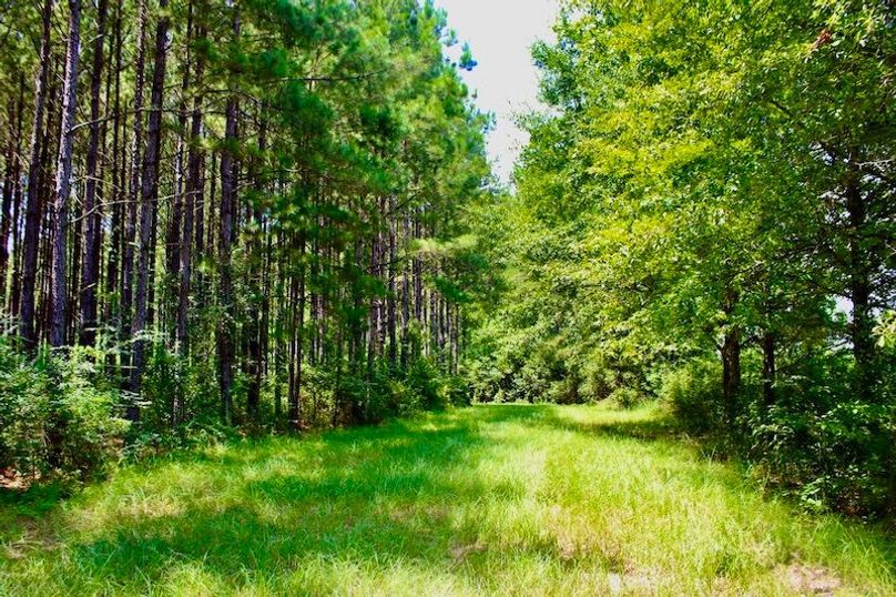 8C85DC33-C1C9-4149-BB8E-DD229BA0FAC6_1_105_c