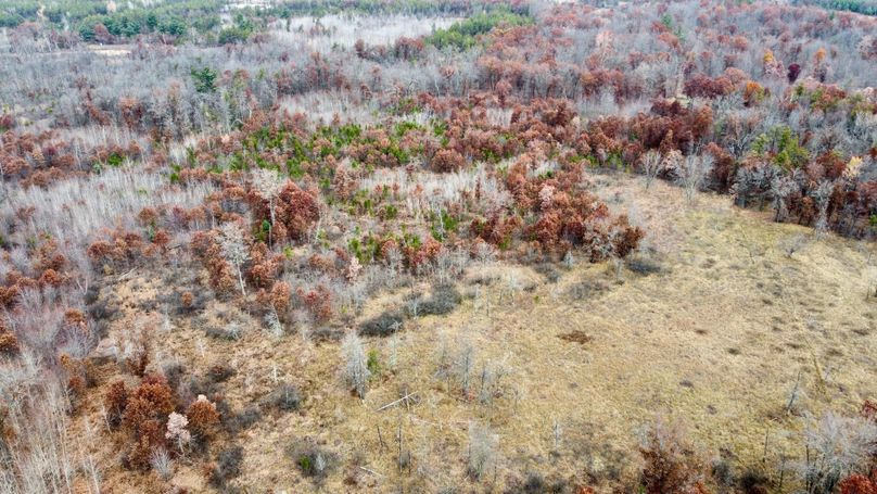 dji_fly_20231105_092840_756_1699198342635_photo_optimized 2