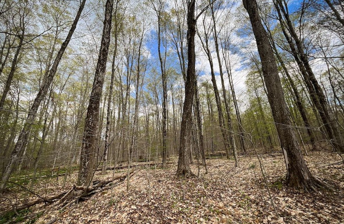 Tioga_76.65_Matyjas_Photos_5