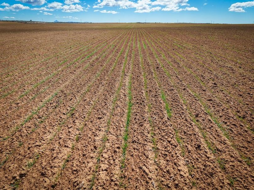 DJI_20260307130136_0095_D