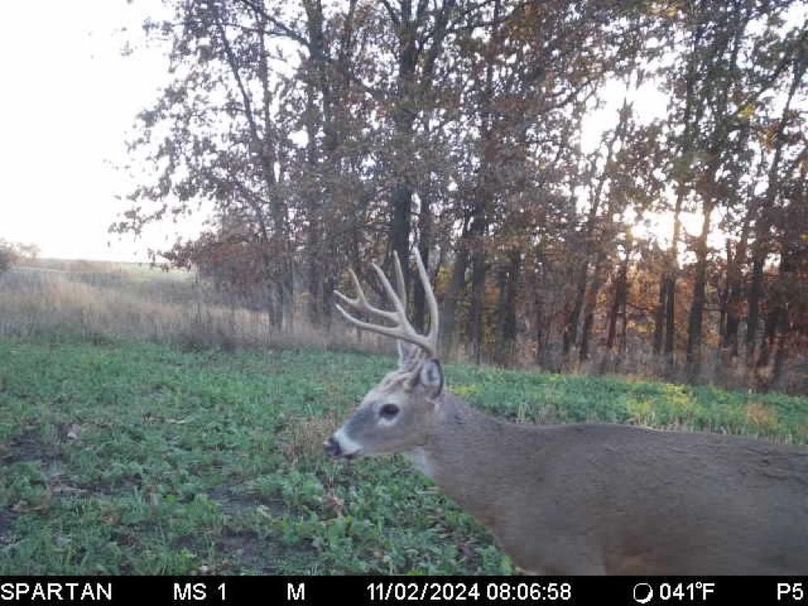 File Nov 02 2024, 10 50 23 AM