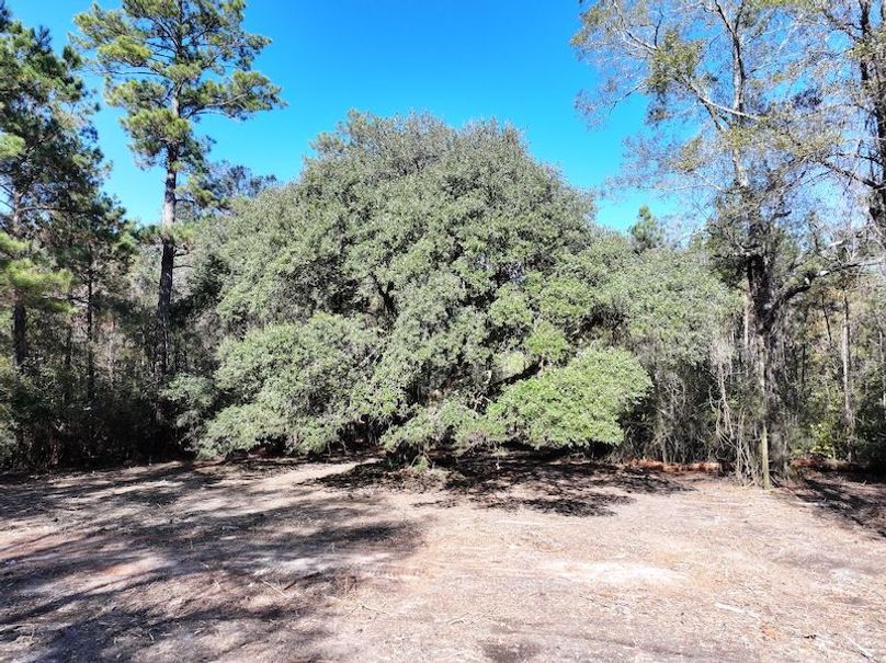 dji_fly_20251209_121456_0753_1765308502873_photo