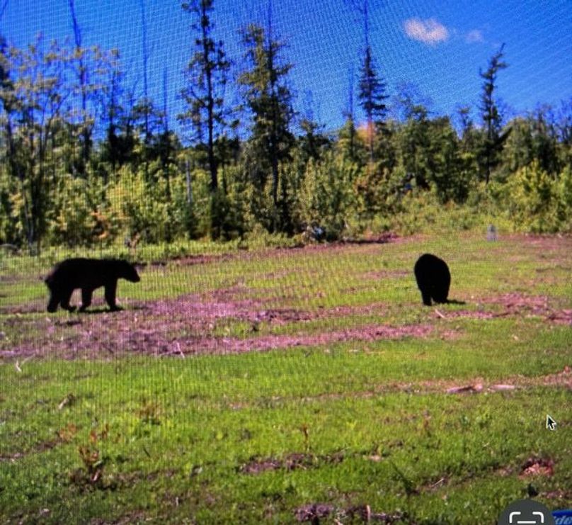 Screenshot 2023-06-07 at 10.23.48 AM