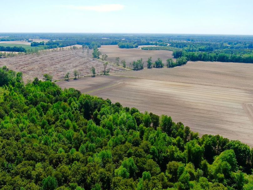 11D8C0ED2D095F166FDFC3F93CFFEFAD