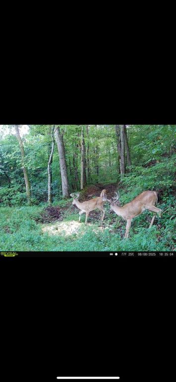 F9509066-238E-4422-A33C-5398BCB64975_1_102_o