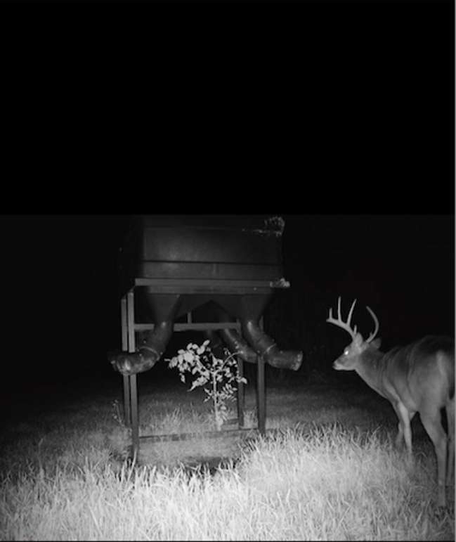 Screen Shot 2023-12-21 at 2.11.19 PM